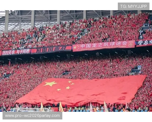 2026年世界杯举办国的足球发展现状与青训体系建设分析